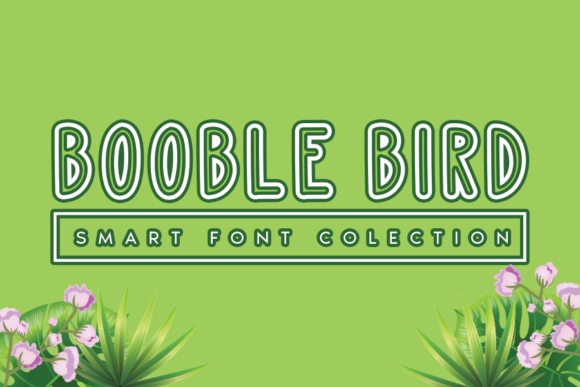Booble Bird Font Review for Creative Branding Projects