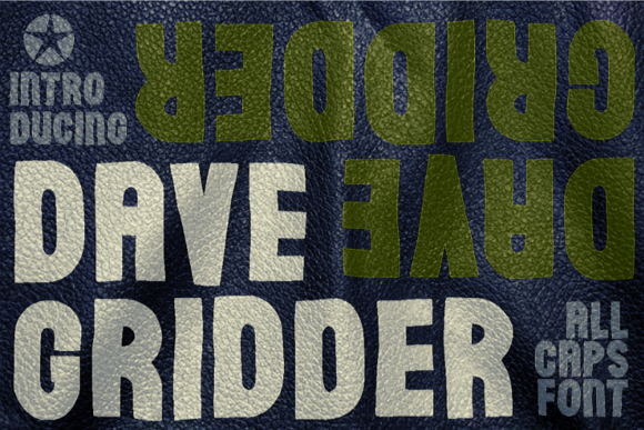 Crafting a Brand with the Dave Gridder Display Font