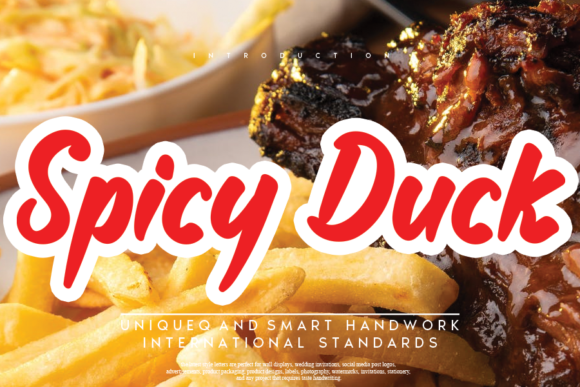 Exploring the Spicy Duck Display Font for Creative Branding