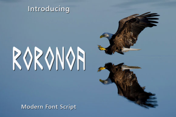 Roronoa: A Display Font for Distinctive Editorial Design